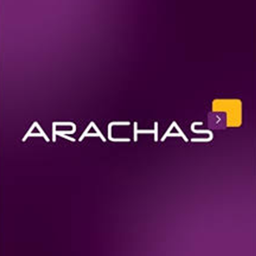 Arachas